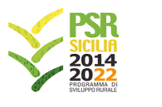 logo psr