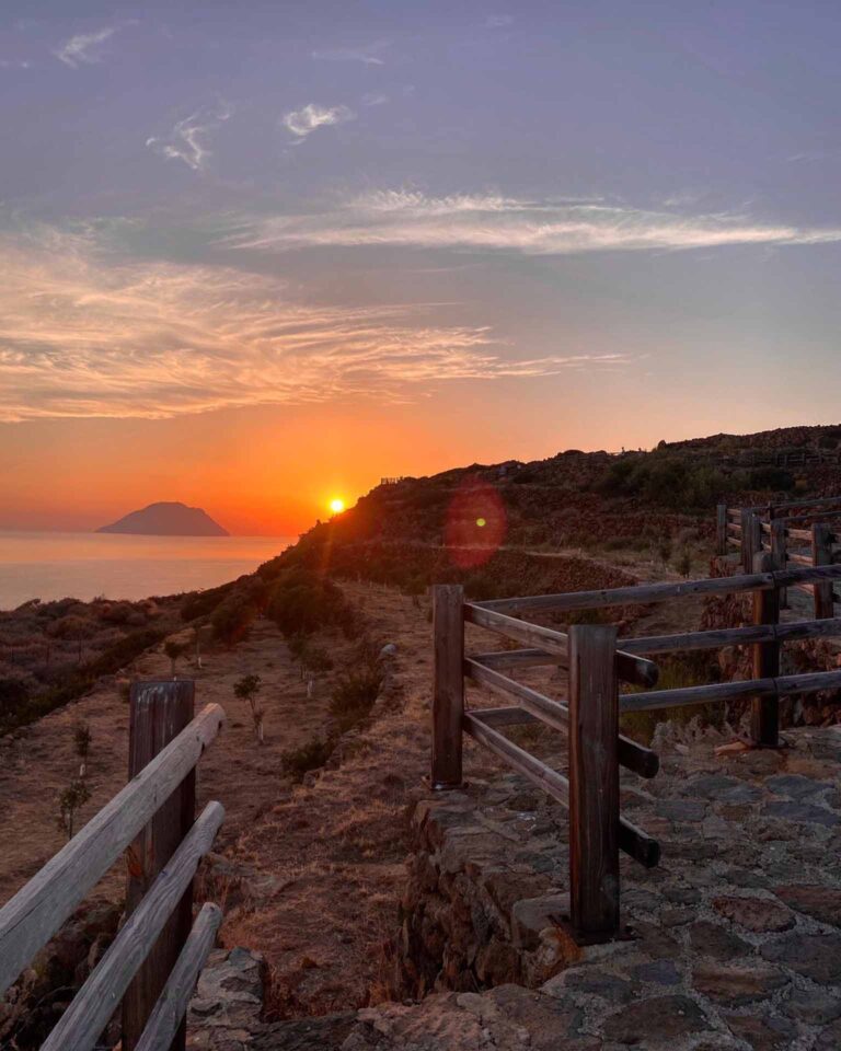 Early Booking estate 2026